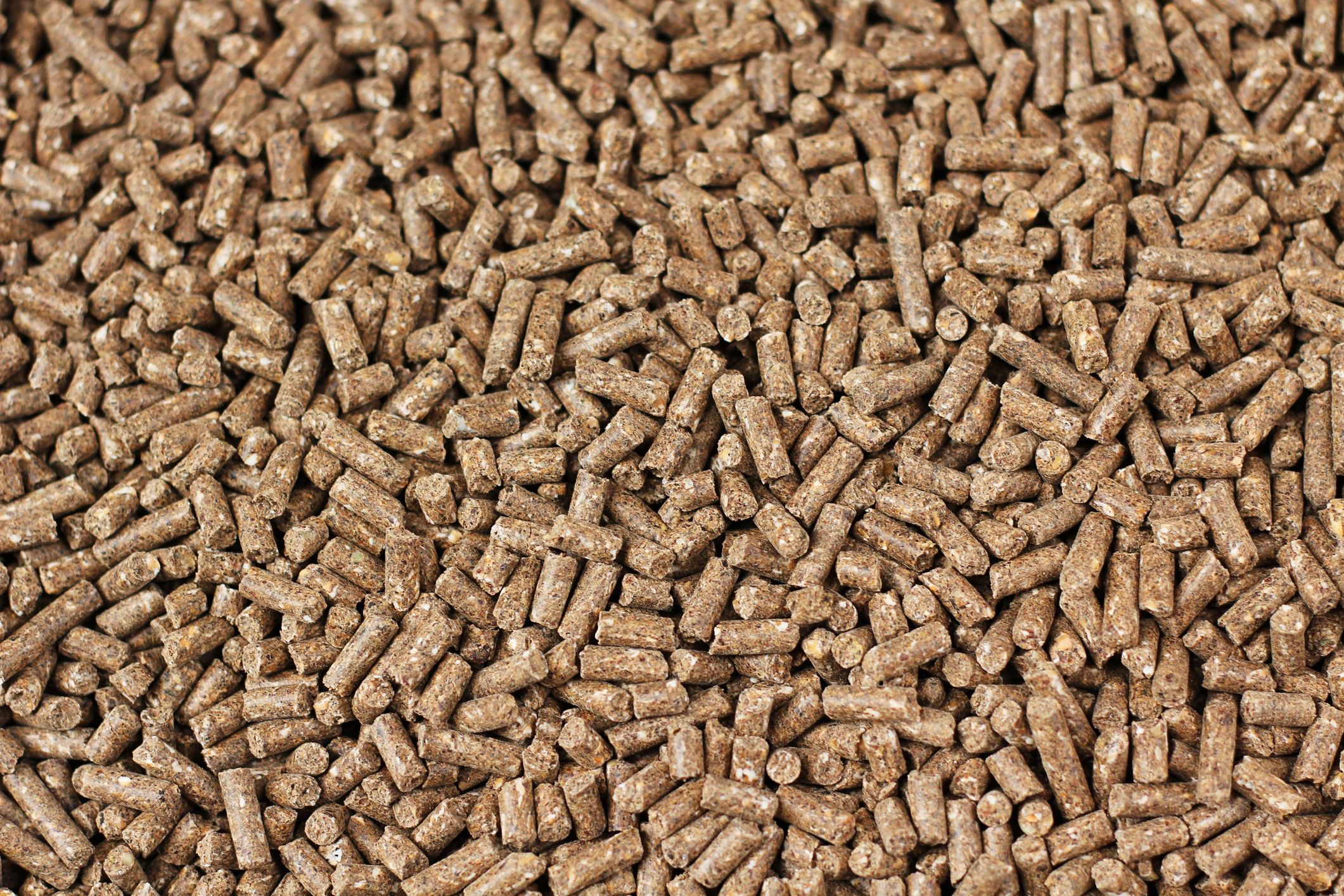 Animal feed pellets representing feed manufacturing and supply